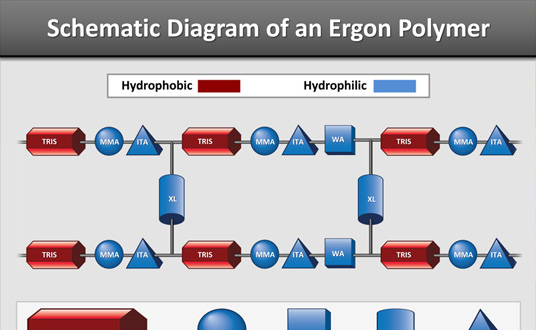Presentation Infographic